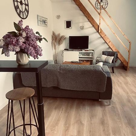 Ferme Des P'Tits Loups Villa Soindres Екстериор снимка